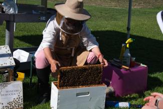 beekeeping-jul-2019-dsc_0434.jpeg