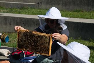 beekeeping-jul-2019-dsc_0456.jpeg