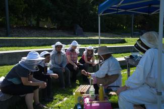 beekeeping-jul-2019-dsc_0466.jpeg