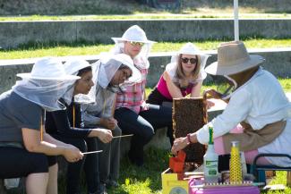 beekeeping-jul-2019-dsc_0478.jpeg